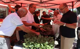 İzmit’ten vatandaşlara fide hediyesi