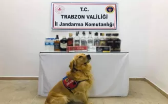 Jandarma kaçakçılara göz açtırmıyor