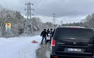 Jandarma sokak hayvanlarını besledi
