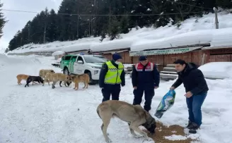 Jandarma sokak ve yaban hayvanlarının da yardımına koşuyor
