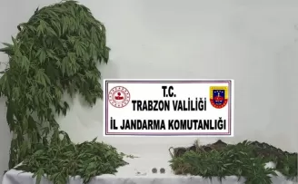 Jandarma uyuşturucu satıcılarına geçit vermiyor