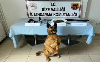 Jandarmadan uyuşturucu operasyonu: 1 gözaltı
