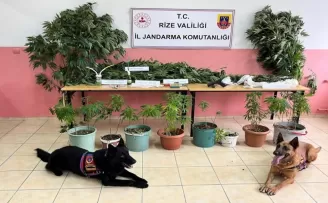Jandarmadan uyuşturucu operasyonu: 3 gözaltı
