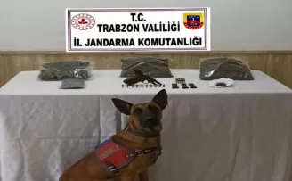 Jandarmadan uyuşturucu operasyonu
