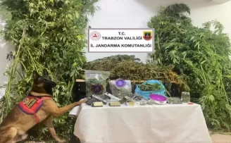 Jandarmadan uyuşturucu operasyonu