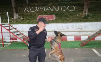 Jandarmanın hassas burnu “Şila“ kanserden hayatını kaybetti
