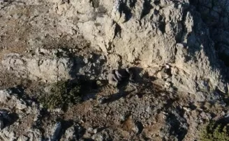 Kaçak av ile mücadelede teknolojik takip
