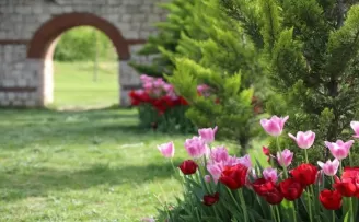 Kağıthane’de lale mevsimi başladı
