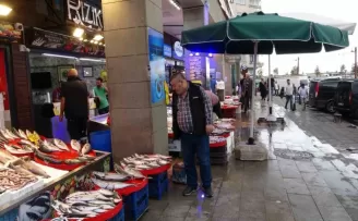 Karadeniz’de balık bereketi
