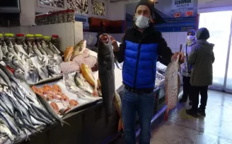 Karadeniz’de Kırlangıç ve Kalkan Balığı bereketi
