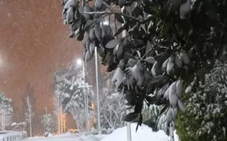 Karın tadını en çok çocuklar çıkardı
