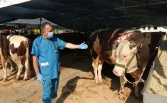 Kartal’da kurban satış alanında termal kamera dönemi
