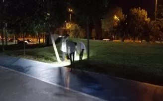 Kavgayı ayırmak isteyen bekçi silahla vuruldu
