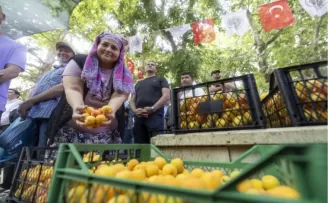 Kayısı Festivali’nde büyük coşku