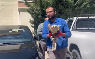 Kayseri Büyükşehir’den yaralı şahine yardım