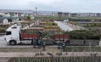 Kayseri Kocasinan’dan ağaç dikme rekoru