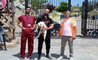 Kayseri Talas’ta kaçak kuzular sahibine döndü