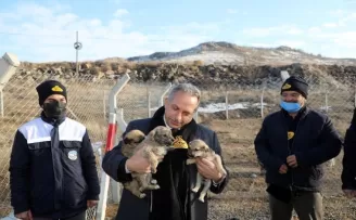 Kayseri Talas’ta patili dostlara büyük destek