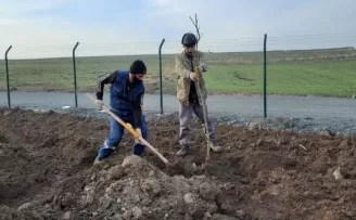 Keçiören Belediyesi 17 dönümlük meyve bahçesi kuruyor
