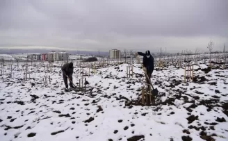 Keçiören Belediyesi meyve bahçesinin kış bakımını tamamladı
