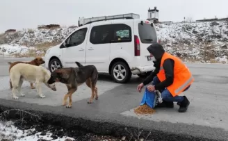 Keçiören’de can dostlar aç bırakılmadı
