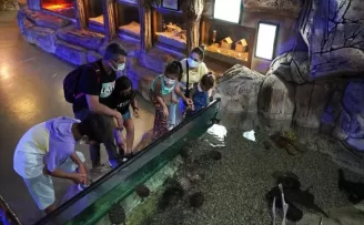 Keçiören’de hafta sonunun vazgeçilmezi deniz dünyası
