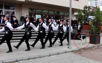Kemençe sesini duyan köpek horon ekibinin peşine takıldı
