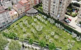 Kiraz bahçesi beyaz gelinliğini giydi
