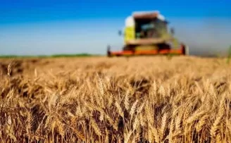 Kırsal kalkınmaya büyük destek... Tarım ve Orman’dan 30 milyon TL’ye kadar hibe!