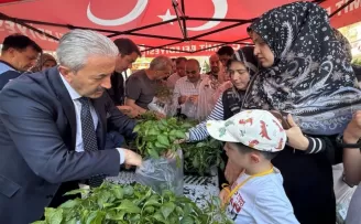 Kocaeli İzmit Belediyesinden halka fide desteği