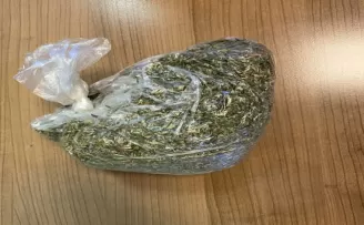 Kovalamaca sonucu yakalandı, üzerinden bonzai çıktı

