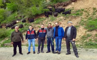 Küçükbaş hayvanları kaybolan yaylacıların imdadına Jandarma yetişti
