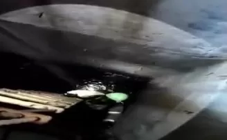 Küçükçekmece’de kuyuya düşen kediler böyle kurtarıldı
