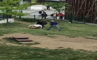 Küçükçekmece’de pitbull dehşeti
