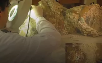 Kültür Varlıkları’ndan ’Toprağın Altından Vitrine’ paylaşımı