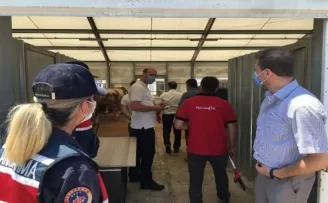Kurban pazarlarında korona virüs ve sahte para denetimi
