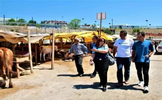 Kurban pazarlarında sıkı denetim
