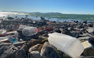 Lodos nedeniyle deniz altından çıkan atıklar Caddebostan Sahile vurdu
