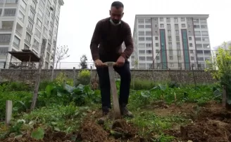 Lüks siteler arasında tarla belleyip bahçe işi yapıyorlar
