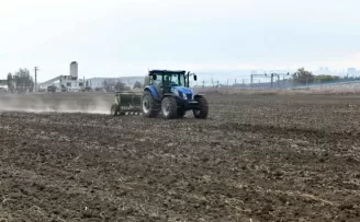 Macar fiğ tohumu desteği için başvuru rekoru
