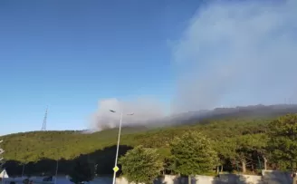 Maltepe’de orman yangını
