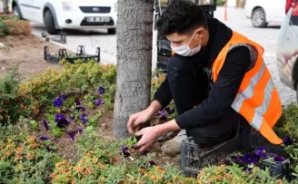 Mamak kışın da çiçek açıyor
