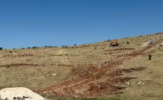 Mardin Artuklu Belediyesi’nden hayvan dostu projeler