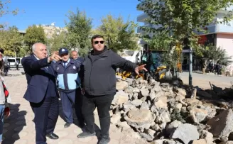 Mardin Yeşilli’de büyük dönüşüm... 50 bin ağaçlık yeşil hamle