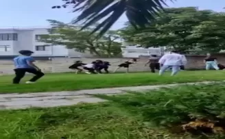 Meydan dayağına dönen kız kavgası kamerada
