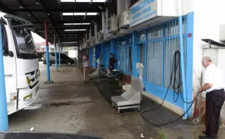 Mezgit, tarihinin en yüksek fiyatını gördü