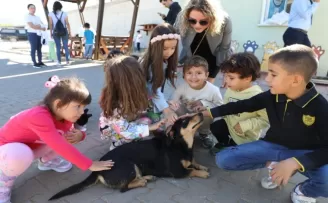 Muğla Büyükşehir 4 bin 34 cana yuva oldu