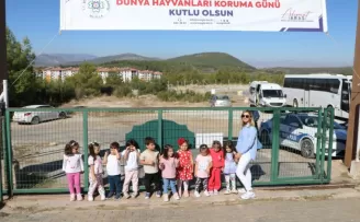 Muğla Büyükşehir’den can dostlara dört dörtlük hizmet