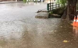 Nallıhan’da dolu yağışı hayatı olumsuz etkiledi
