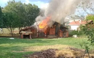 Nallıhan’da hayvanların bulunduğu baraka yandı
